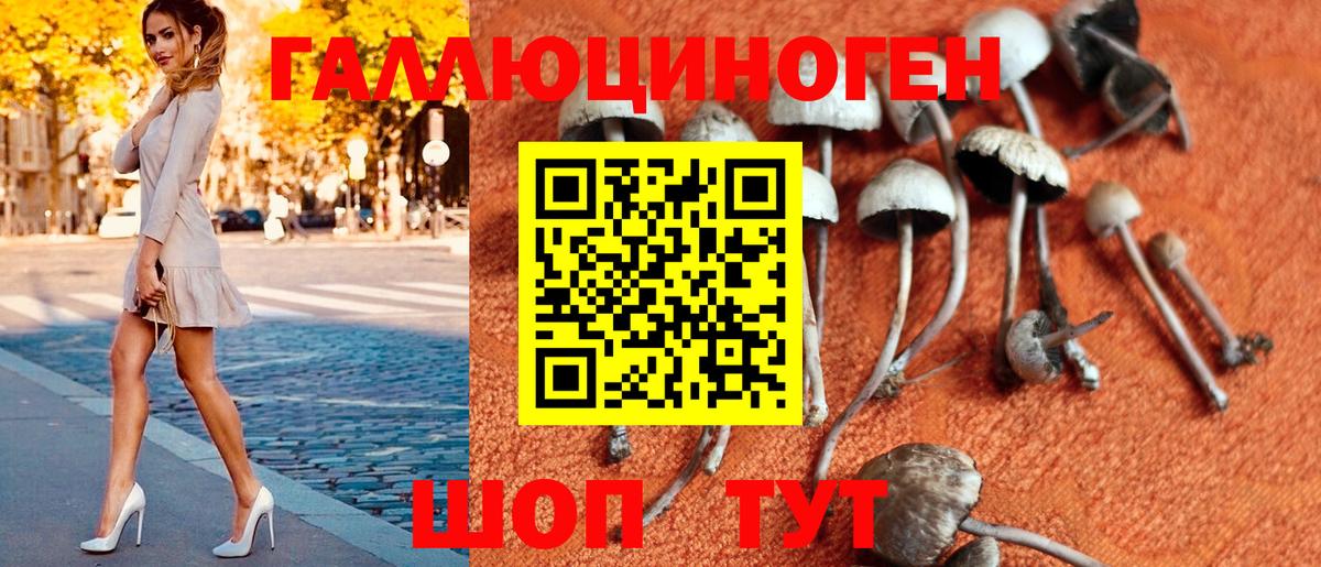 Псилоцибиновые грибы MAGIC MUSHROOMS  Вход с VPN  Гурьевск 